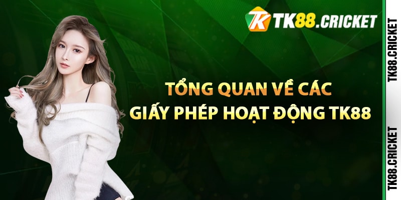 Tổng quan về các giấy phép hoạt động TK88 đã có